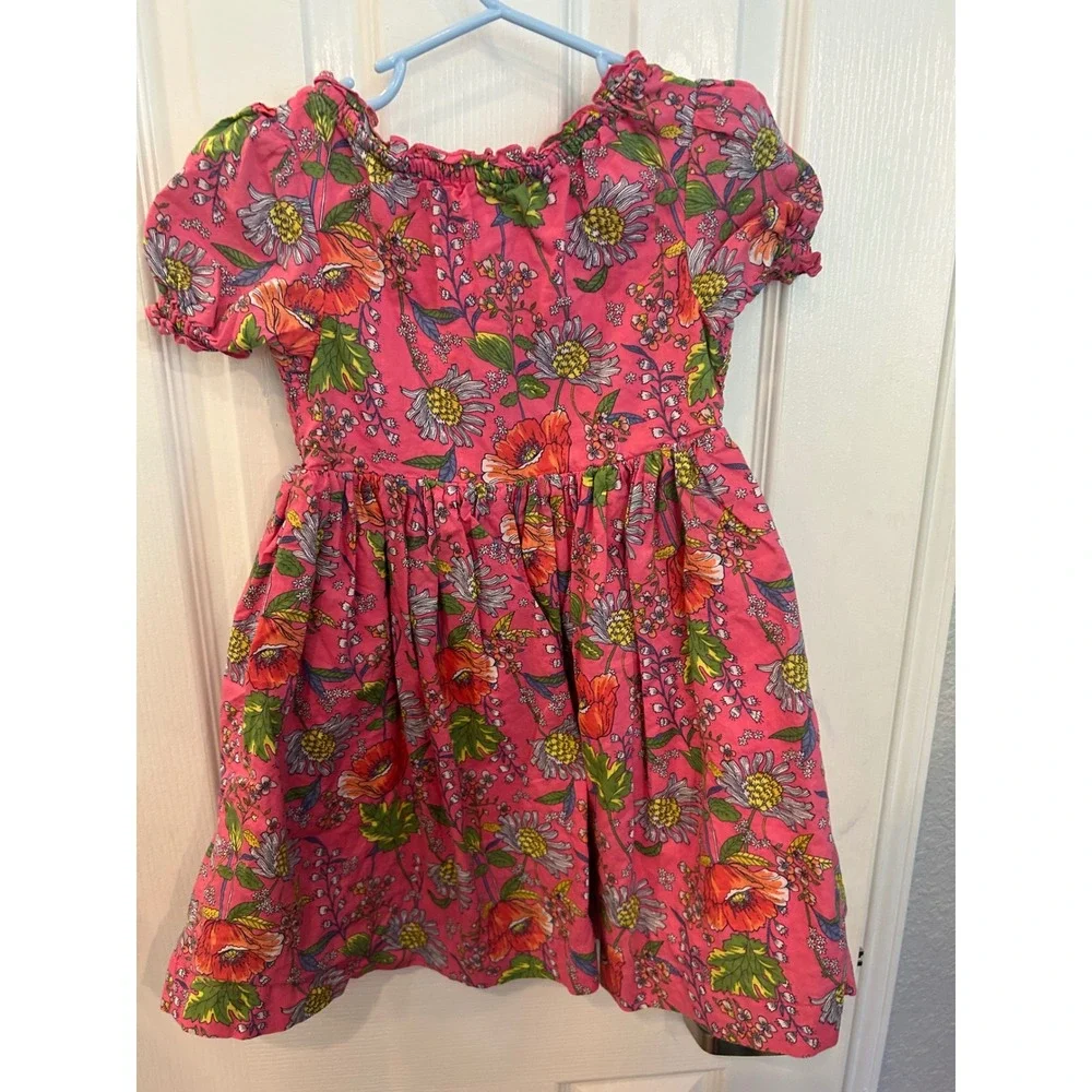 Baby Gap‎ Floral Dress Pink Smocked Puff Sleeve Toddler Girls 5 Years